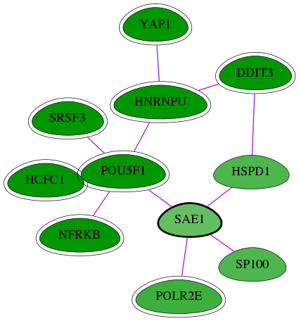 chia-screen-data-Fav-int-snw-10055 subnetwork