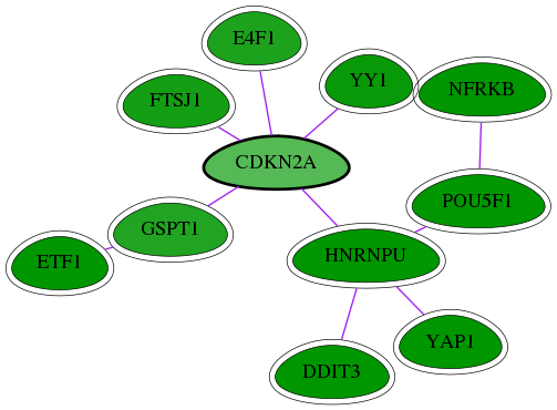 chia-screen-data-Fav-int-snw-1029 subnetwork