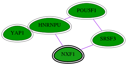 chia-screen-data-Fav-int-snw-10482 subnetwork