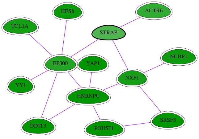 chia-screen-data-Fav-int-snw-11171 subnetwork