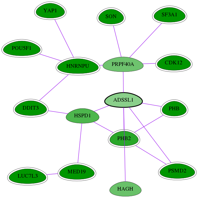 chia-screen-data-Fav-int-snw-122622 subnetwork