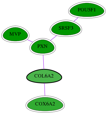 chia-screen-data-Fav-int-snw-1292 subnetwork