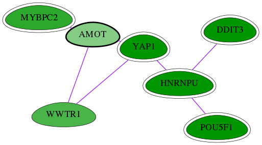 chia-screen-data-Fav-int-snw-154796 subnetwork