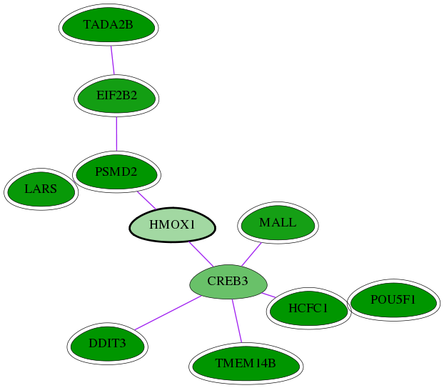 chia-screen-data-Fav-int-snw-3162 subnetwork