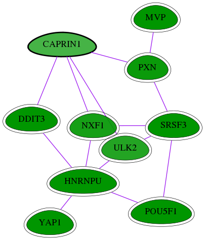 chia-screen-data-Fav-int-snw-4076 subnetwork