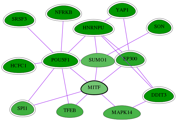 chia-screen-data-Fav-int-snw-4286 subnetwork