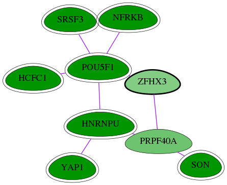 chia-screen-data-Fav-int-snw-463 subnetwork