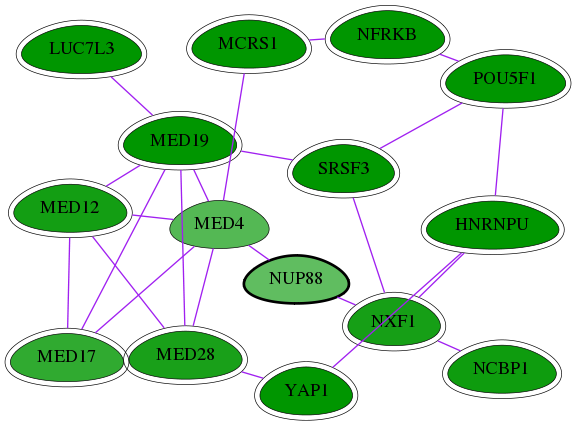 chia-screen-data-Fav-int-snw-4927 subnetwork