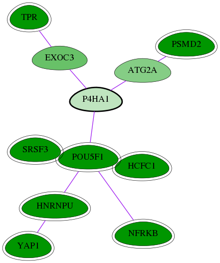 chia-screen-data-Fav-int-snw-5033 subnetwork