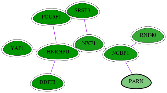 chia-screen-data-Fav-int-snw-5073 subnetwork