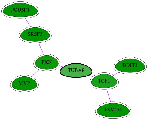 chia-screen-data-Fav-int-snw-51807 subnetwork