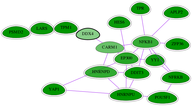 chia-screen-data-Fav-int-snw-54514 subnetwork