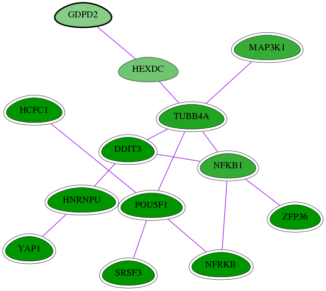 chia-screen-data-Fav-int-snw-54857 subnetwork