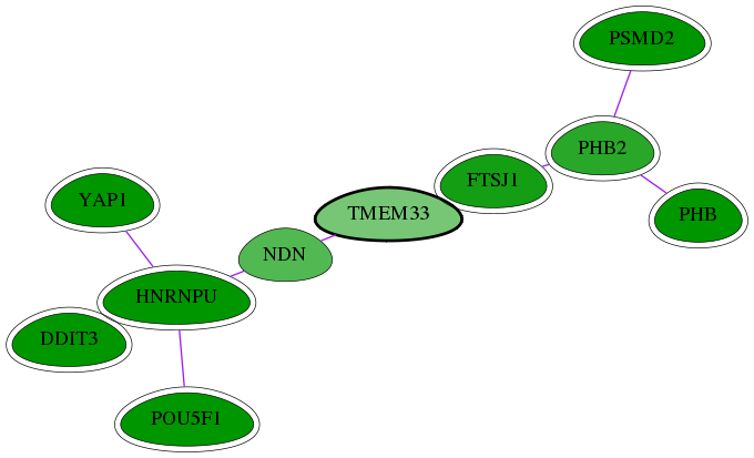 chia-screen-data-Fav-int-snw-55161 subnetwork