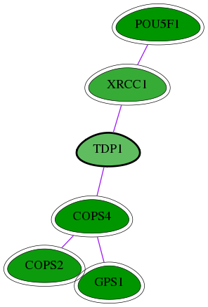 chia-screen-data-Fav-int-snw-55775 subnetwork