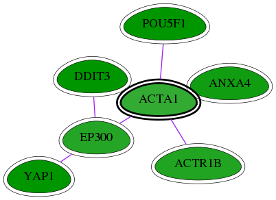 chia-screen-data-Fav-int-snw-58 subnetwork