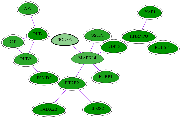 chia-screen-data-Fav-int-snw-6334 subnetwork