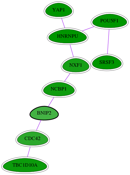 chia-screen-data-Fav-int-snw-663 subnetwork