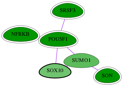 chia-screen-data-Fav-int-snw-6663 subnetwork