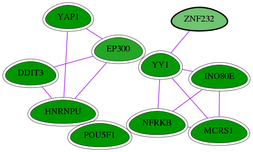 chia-screen-data-Fav-int-snw-7775 subnetwork