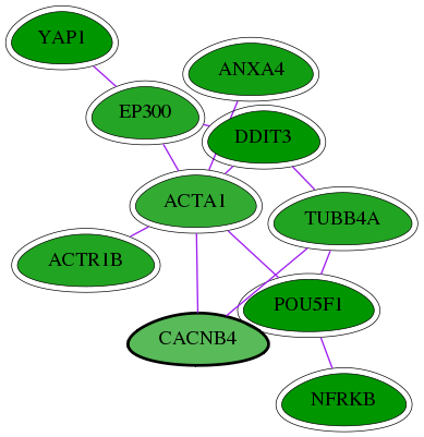 chia-screen-data-Fav-int-snw-785 subnetwork