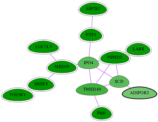 chia-screen-data-Fav-int-snw-79602 subnetwork