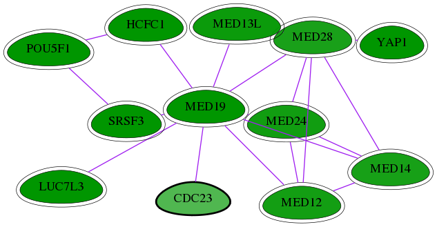 chia-screen-data-Fav-int-snw-8697 subnetwork