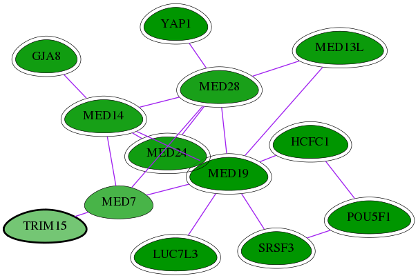 chia-screen-data-Fav-int-snw-89870 subnetwork