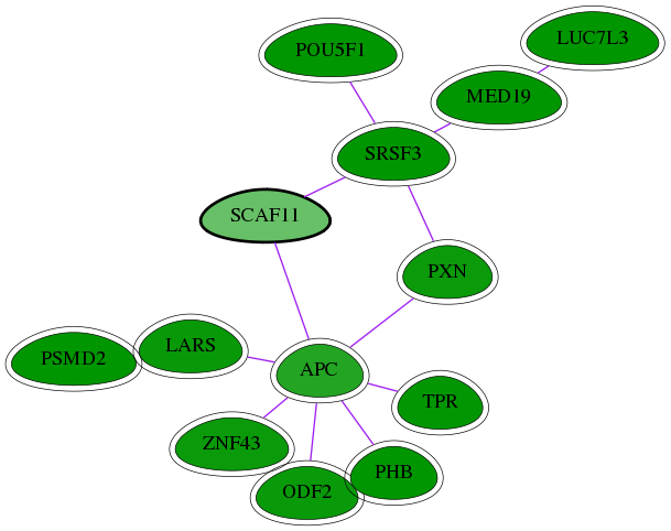 chia-screen-data-Fav-int-snw-9169 subnetwork