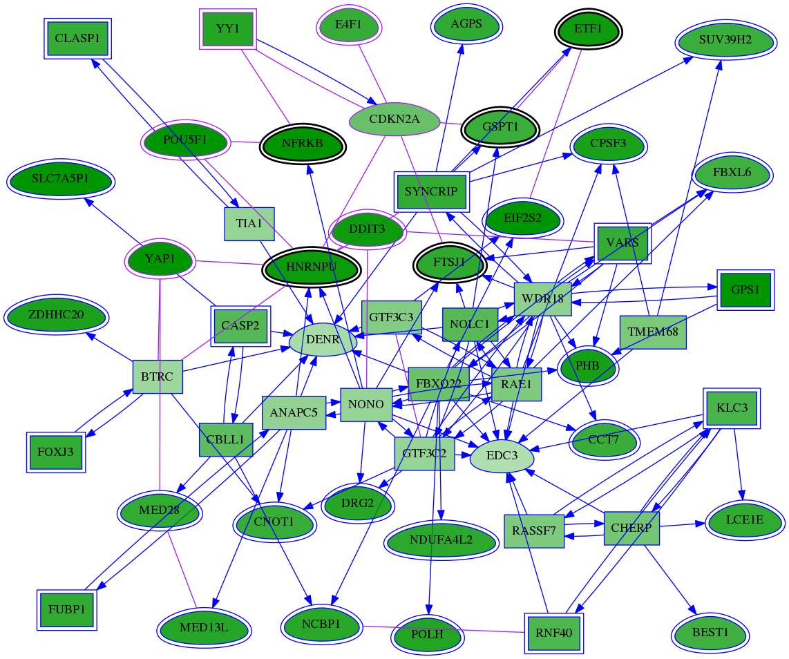 chia-screen-data-Fav-meta-int-snw-1029 subnetwork