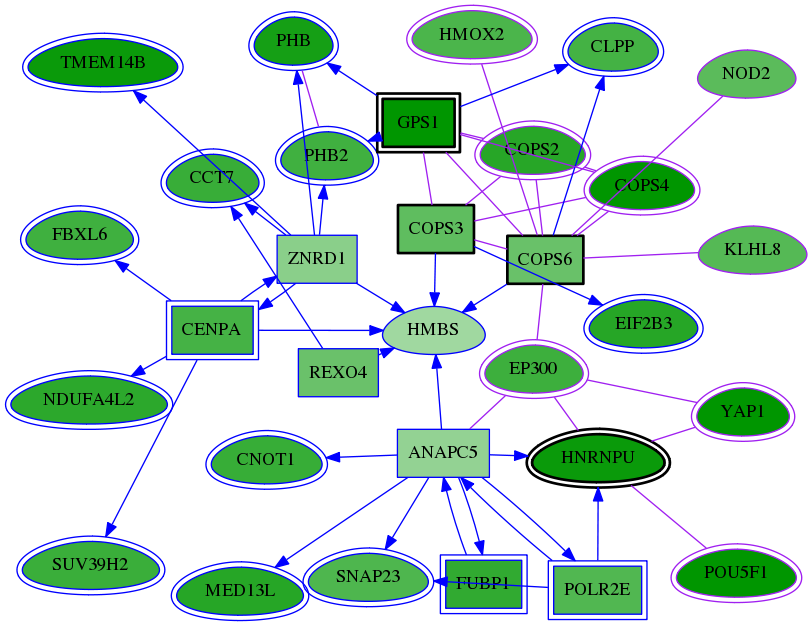 chia-screen-data-Fav-meta-int-snw-10980 subnetwork