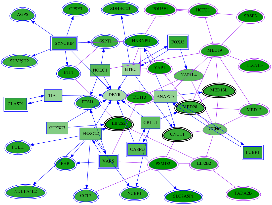 chia-screen-data-Fav-meta-int-snw-892 subnetwork