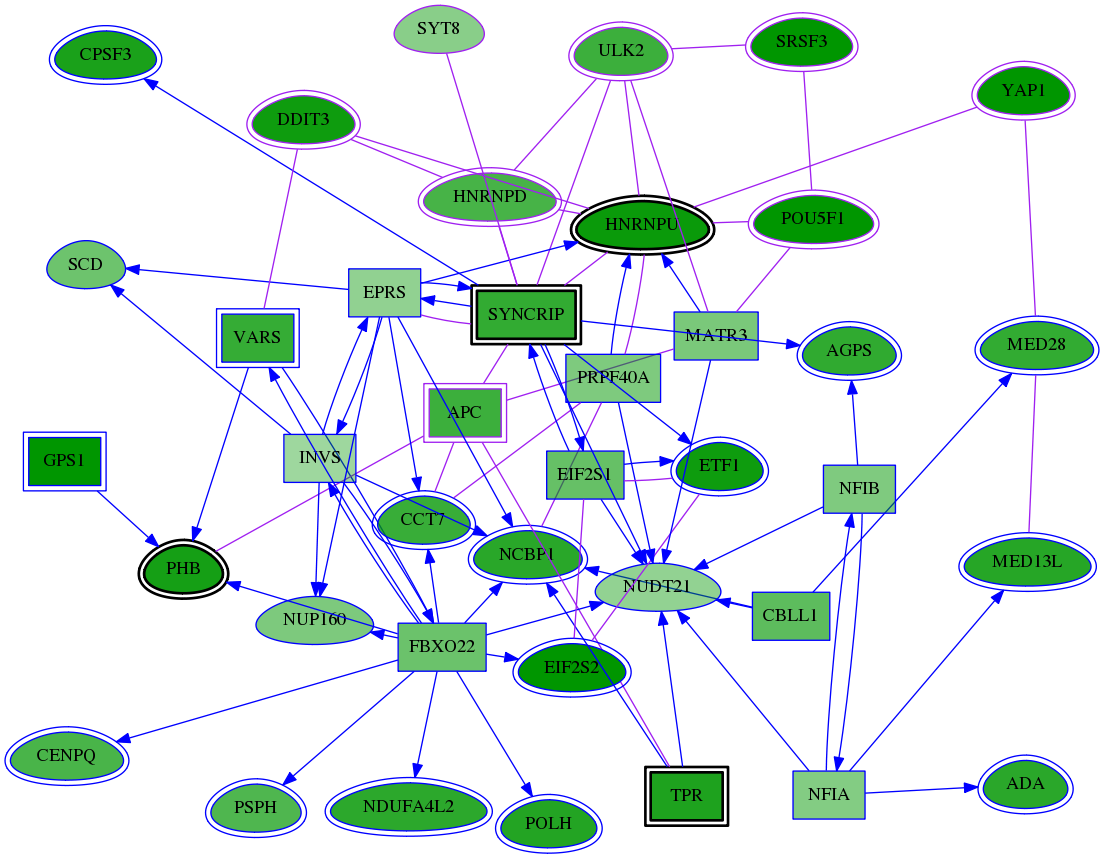 chia-screen-data-Fav-meta-int-snw-90019 subnetwork