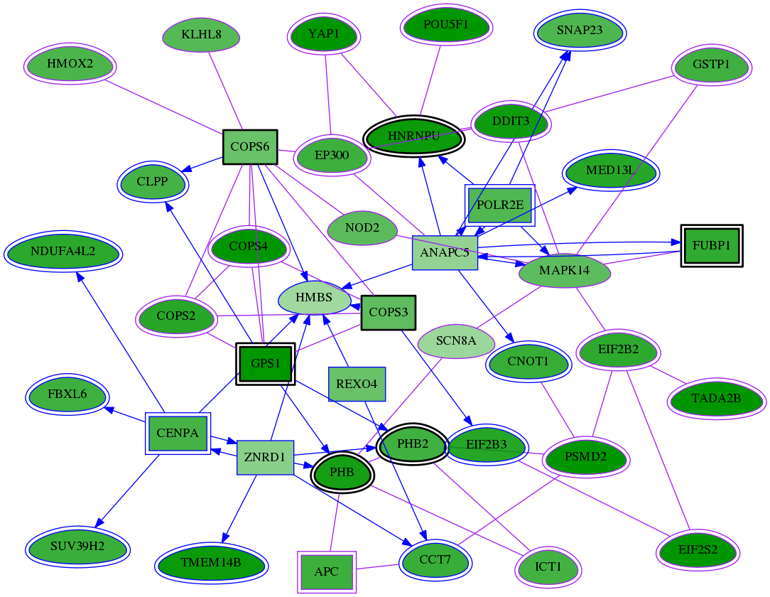 chia-screen-data-Fav-meta-reg-snw-3145 subnetwork