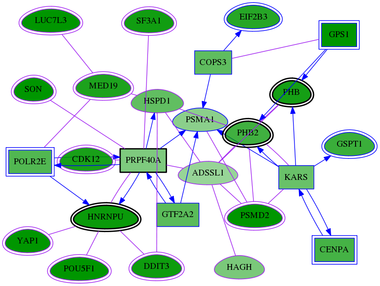 chia-screen-data-Fav-meta-reg-snw-5682 subnetwork