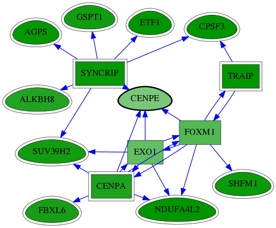 chia-screen-data-Fav-reg-snw-1062 subnetwork