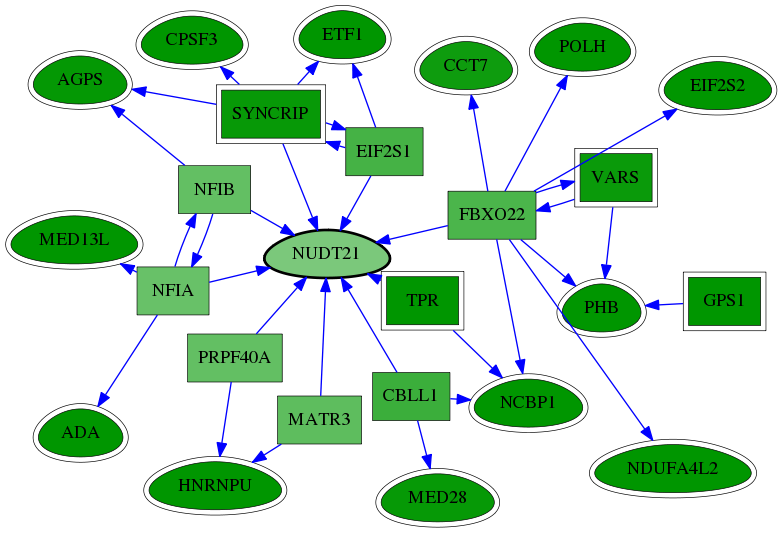 chia-screen-data-Fav-reg-snw-11051 subnetwork