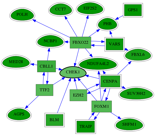 chia-screen-data-Fav-reg-snw-1111 subnetwork