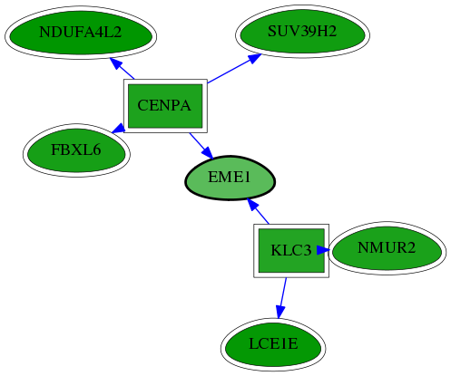 chia-screen-data-Fav-reg-snw-146956 subnetwork