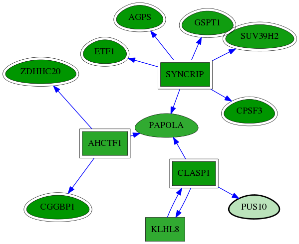 chia-screen-data-Fav-reg-snw-150962 subnetwork