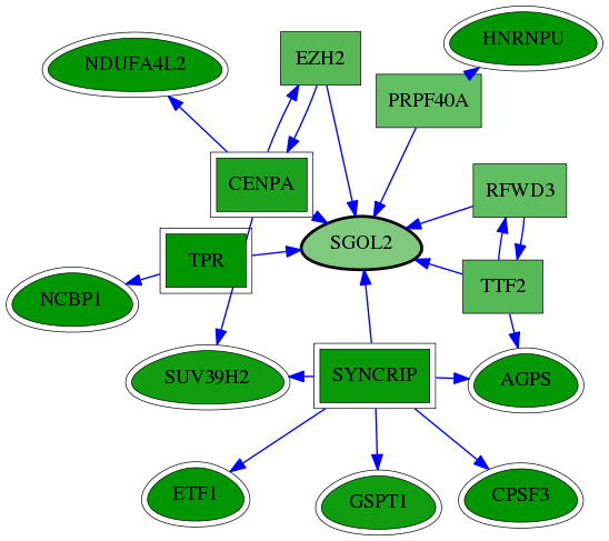 chia-screen-data-Fav-reg-snw-151246 subnetwork