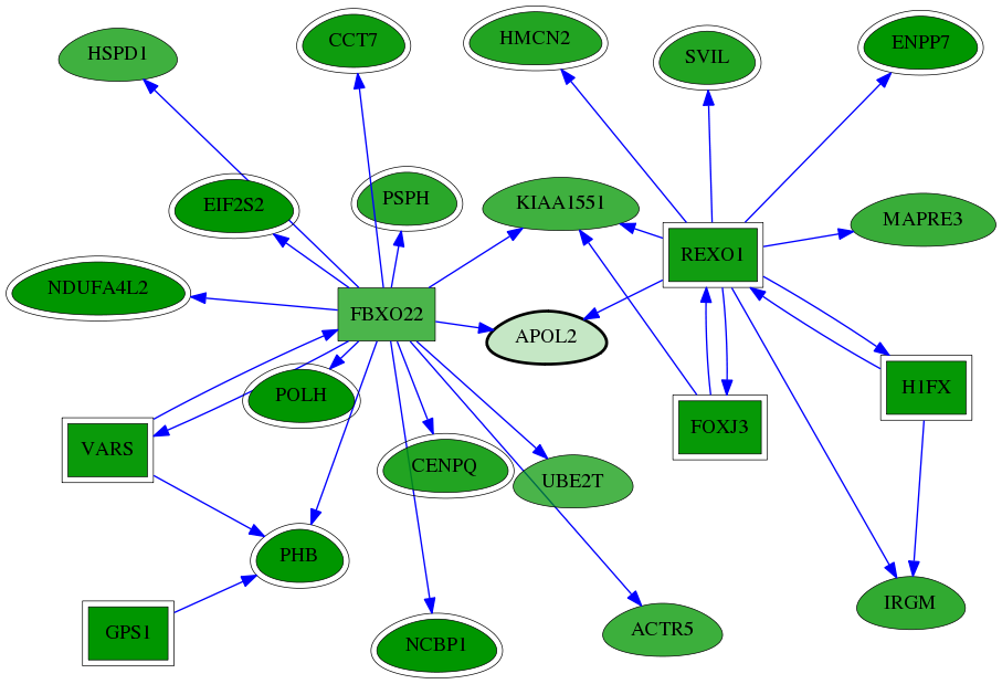 chia-screen-data-Fav-reg-snw-23780 subnetwork