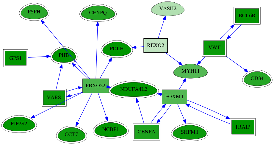 chia-screen-data-Fav-reg-snw-25996 subnetwork