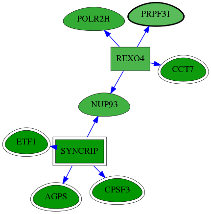 chia-screen-data-Fav-reg-snw-26121 subnetwork