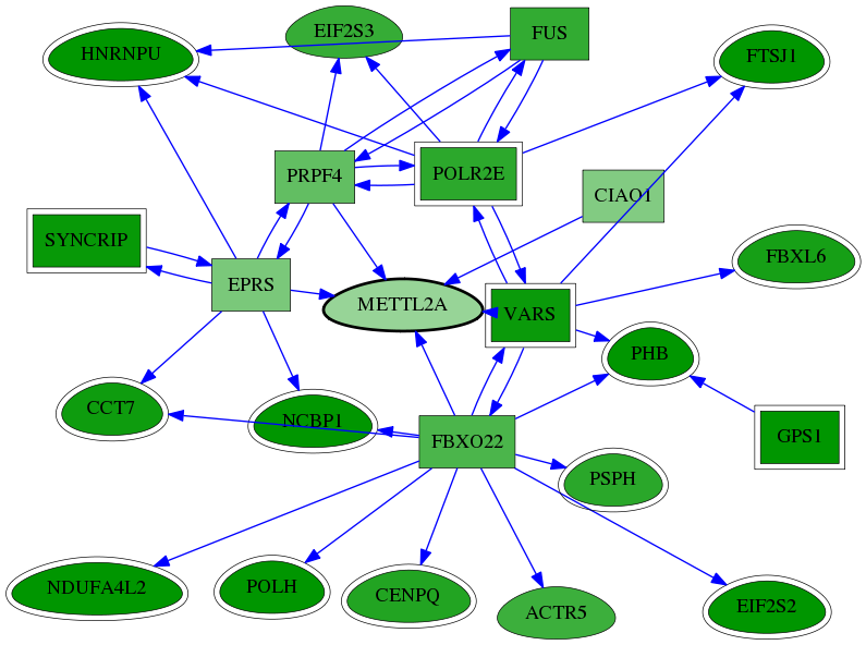 chia-screen-data-Fav-reg-snw-339175 subnetwork