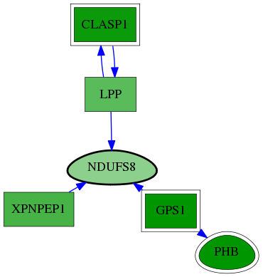 chia-screen-data-Fav-reg-snw-4728 subnetwork