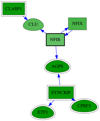 chia-screen-data-Fav-reg-snw-4781 subnetwork