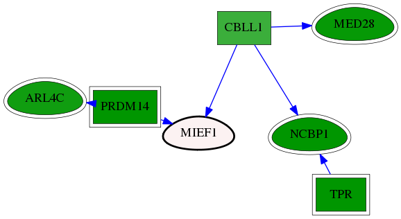 chia-screen-data-Fav-reg-snw-54471 subnetwork