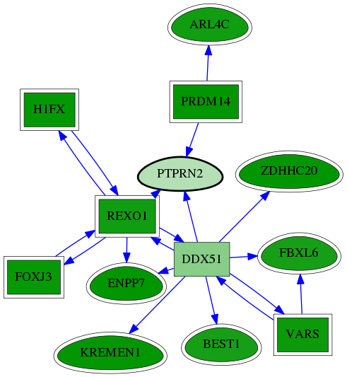 chia-screen-data-Fav-reg-snw-5799 subnetwork