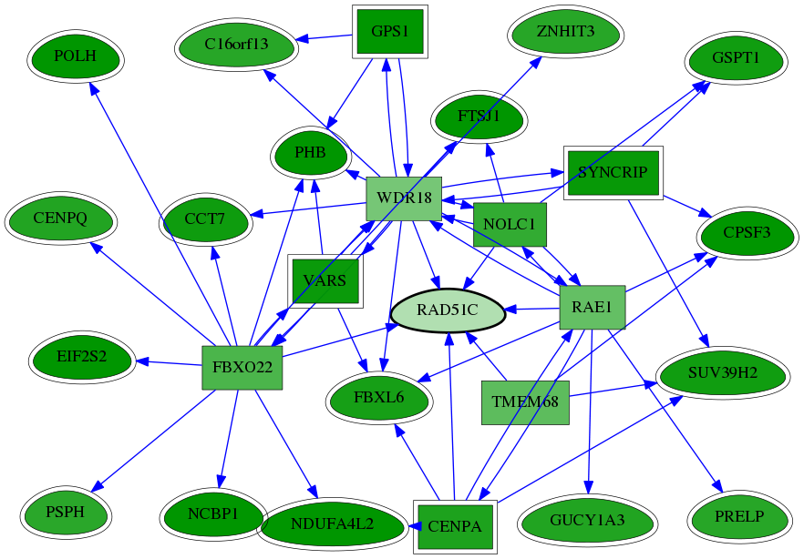 chia-screen-data-Fav-reg-snw-5889 subnetwork